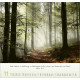 Licht Impressionen 2026 Wandkalender