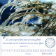Gott ist Liebe 2026 - Tischkalender