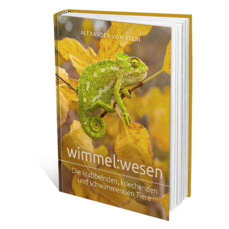 wimmel:wesen