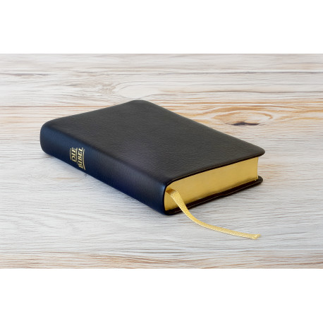 Pocketbibel, Rindleder, schwarz, Goldschnitt