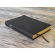 Standardbibel, Leder, Goldschnitt,