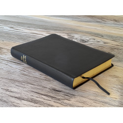 Standardbibel, Leder, Goldschnitt,