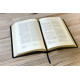 Standardbibel, Leder, Goldschnitt,