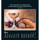 Zeit der Stille 2027