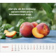 Du bist meine Stärke 2027 - Großdruck-Kalender