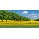 Ewigkeit im Herzen 2027 - Riesenpanoramakalender