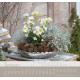 Im Garten zuhause 2027