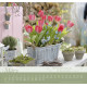Im Garten zuhause 2027