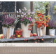 Im Garten zuhause 2027