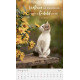Mit Seiner Kraft 2027 - Wandkalender