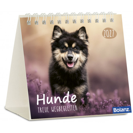 Hunde - Minikalender 2027