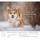 Hunde - Minikalender 2027
