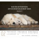Hunde - Minikalender 2027