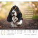 Hunde - Minikalender 2027