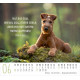 Hunde - Minikalender 2027
