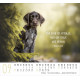 Hunde - Minikalender 2027