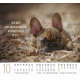 Hunde - Minikalender 2027