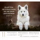Hunde - Minikalender 2027