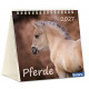 Pferde - Tischkalender 2027