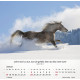 Pferde - Tischkalender 2027