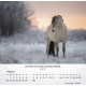 Pferde - Tischkalender 2027