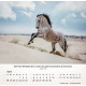 Pferde - Tischkalender 2027