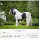 Pferde - Tischkalender 2027