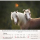 Pferde - Tischkalender 2027