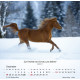 Pferde - Tischkalender 2027