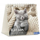 Katzen - Minikalender 2027