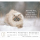 Katzen - Minikalender 2027