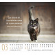 Katzen - Minikalender 2027