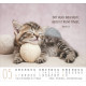 Katzen - Minikalender 2027