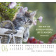 Katzen - Minikalender 2027
