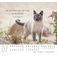 Katzen - Minikalender 2027