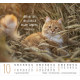 Katzen - Minikalender 2027