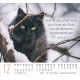 Katzen - Minikalender 2027