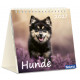 Hunde 2027