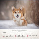 Hunde 2027