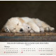 Hunde 2027