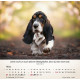 Hunde 2027