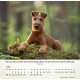 Hunde 2027