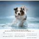 Hunde 2027