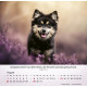 Hunde 2027