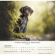 Hunde 2027