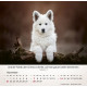 Hunde 2027