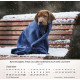 Hunde 2027