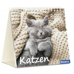 Katzen - Tischkalender 2027