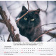 Katzen 2027