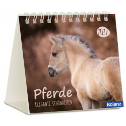 Pferde - Minikalender 2027